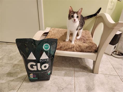 can boxicat be used in an electric cat box|boxie cat litter.